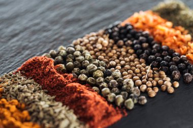 close up view of traditional indian spices in row clipart