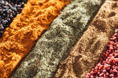 close up view of bright indian spices in rows clipart