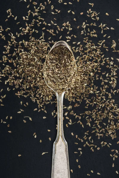 Close View Indian Traditional Spice Silver Spoon — Stock Photo, Image