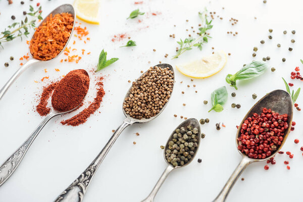 close up view of indian spices in silver spoons near herbs on white background