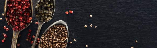 панорамный снимок смеси перца в серебряных ложках на черном текстурированном фоне
