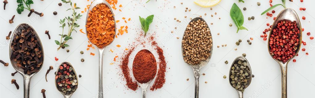 panoramic shot of colorful spices in silver spoons near green leaves on white background