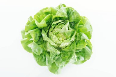 top view of fresh natural wet green lettuce leaves isolated on white clipart