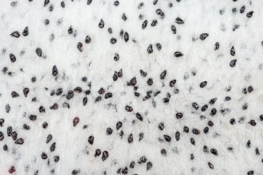 egzotik olgun ejderha meyve püresi yakın görünümü