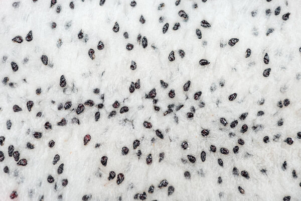 Крупный план экзотического спелого драконьего пюре
