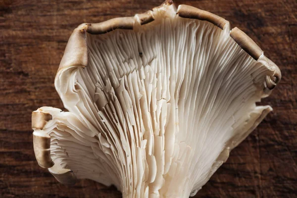 Close View Uncooked Mushroom Textured Wooden Background — Stock Photo, Image