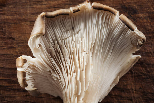 close up view of uncooked mushroom on textured wooden background
