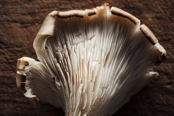 close up view of raw fresh mushroom on textured wooden background