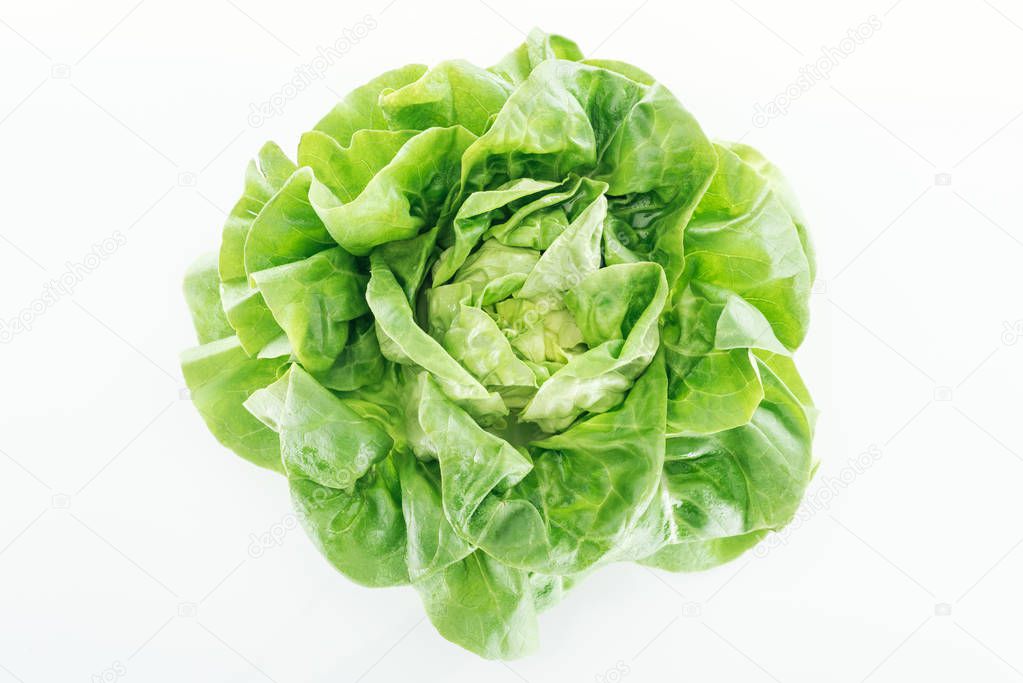 top view of fresh natural wet green lettuce leaves isolated on white