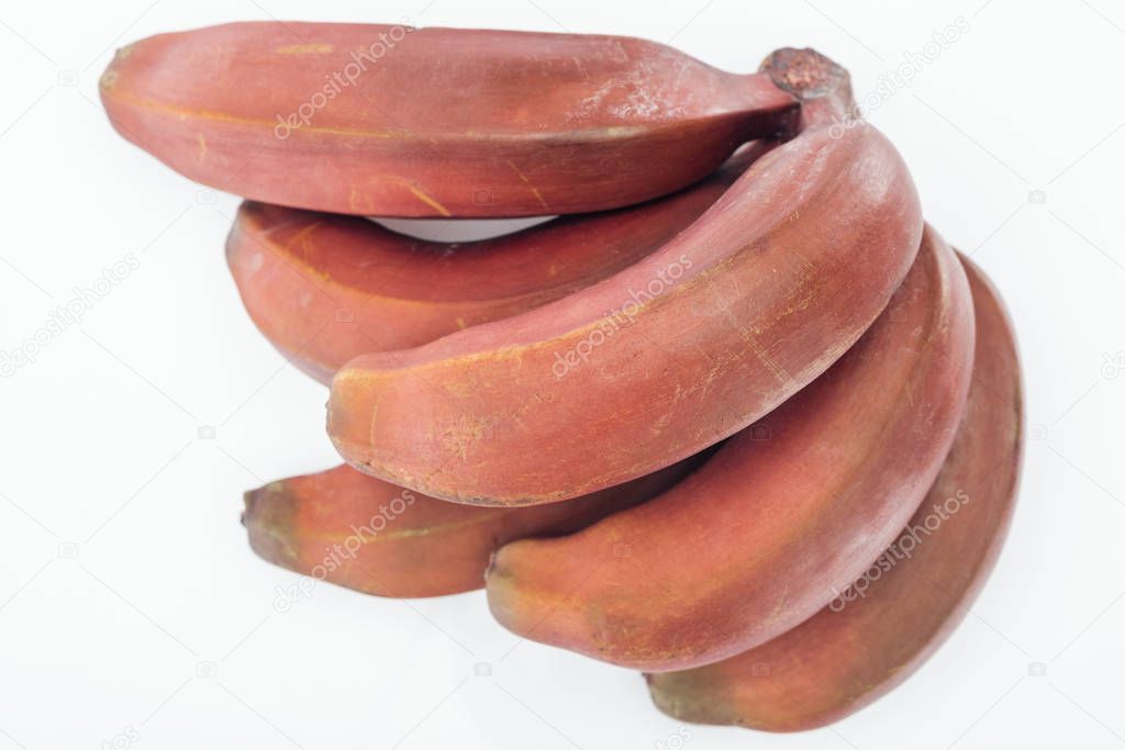 close up view of ripe tropical tasty red bananas isolated on white