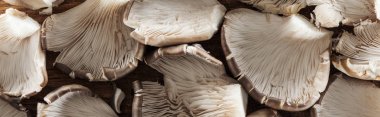 close up view of textured mushrooms in pile, panoramic shot clipart