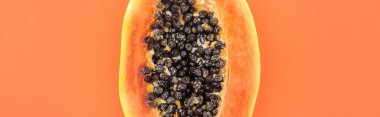 kopya alanı ile turuncu izole siyah tohumlar ile olgun egzotik papaya yarısı panoramik çekim