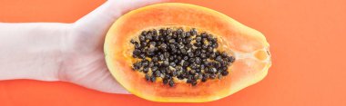 turuncu izole siyah tohumları ile olgun egzotik papaya yarısı tutan kadın panoramik çekim