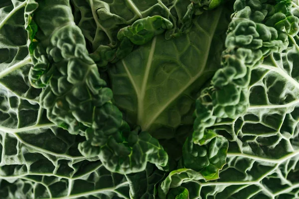 Close View Textured Green Cabbage Leaves — Stock Photo, Image