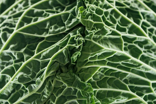 Close View Textured Fresh Green Cabbage Leaves — Stock Photo, Image