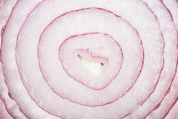 close up view of juicy organic fresh textured onion slice