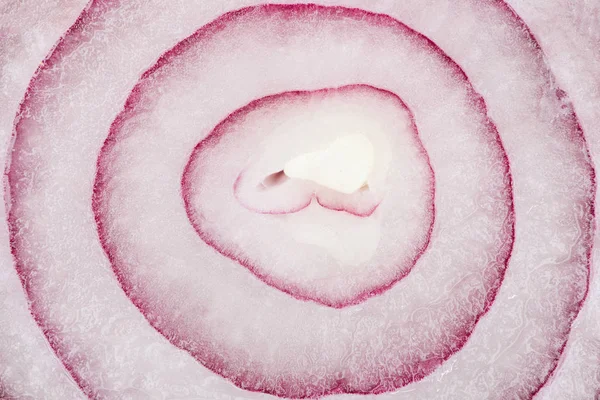 Close Όψη Της Ζουμερό Φρέσκια Υφή Κρεμμύδι Φέτα — Φωτογραφία Αρχείου
