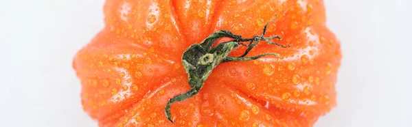 Panoramische Aufnahme Ganzer Roter Reifer Tomaten Mit Wassertropfen Isoliert Auf — Stockfoto