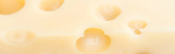 Panoramic Shot Fresh Yellow Cheese Wholes — Stock Photo, Image