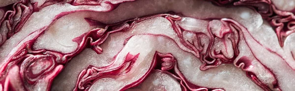 Panoramic Shot Fresh Textured Red Cabbage — Stock Photo, Image