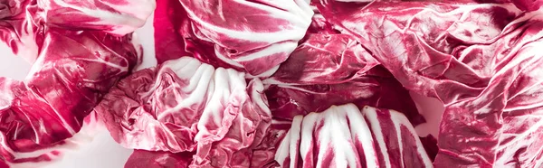 Panoramic Shot Fresh Red Cabbage Leaves — Stock Photo, Image