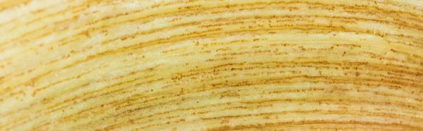 Panoramic Shot Yellow Ripe Banana Textured Peel — Stock Photo, Image