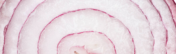 close up view of juicy organic fresh textured onion slice, panoramic shot