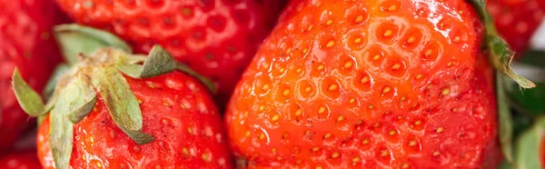 Panoramic Shot Fresh Whole Ripe Red Strawberries Pile — Stock Photo, Image