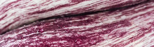 Panoramic Shot Fresh Red Cabbage Leaf Water Drops — Stock Photo, Image