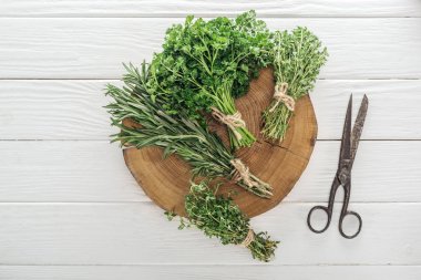 top view of green parsley, rosemary and thyme on brown stump near retro scissors on white wooden table clipart