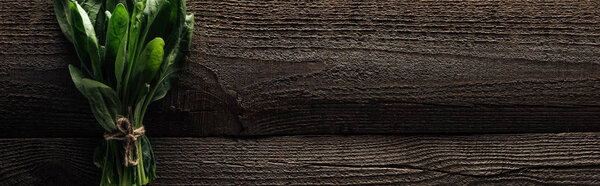 top view of green spinach leaves on wooden rustic table, panoramic shot