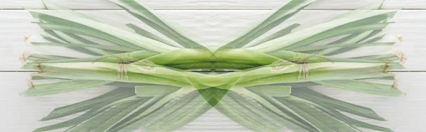 Double Exposure Fresh Green Leek White Wooden Table Panoramic Shot — Stock Photo, Image