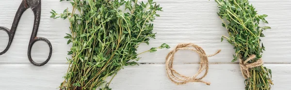 Panoramic Shot Green Thyme Retro Scissors Thread White Wooden Table — Stock Photo, Image