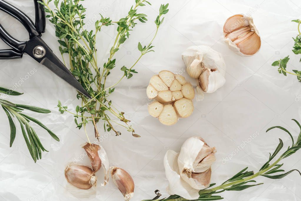 top view of garlic cloves, scissors, rosemary and thyme on white paper background
