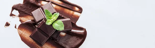Foto Panorámica Trozos Barra Chocolate Menta Fresca Sobre Chocolate Líquido — Foto de Stock