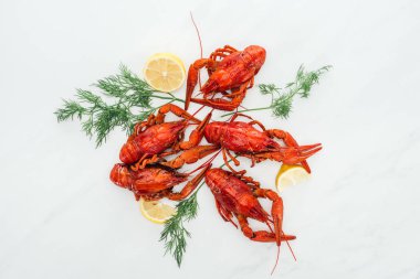 beyaz arka plan üzerinde kırmızı ıstakoz, limon dilimleri ve yeşil otlar üst görünümü