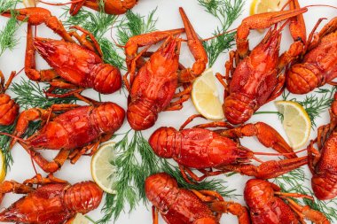 top view of red lobsters, lemon slices and green herbs on white background clipart