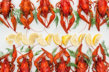 top view of red lobsters, lemon slices and green herbs on white background clipart