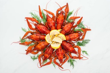 top view of red lobsters, lemon slices and green herbs on white background clipart