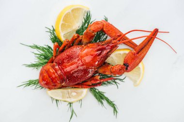top view of red lobster on lemon slices, herbs and white background clipart
