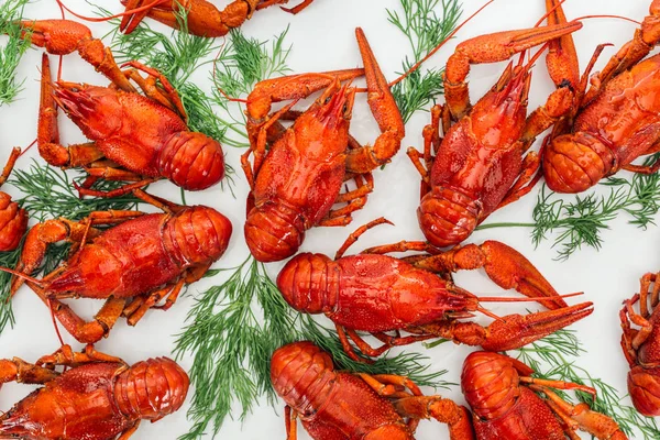 Draufsicht Auf Rote Hummer Und Grüne Kräuter Auf Weißem Hintergrund — Stockfoto