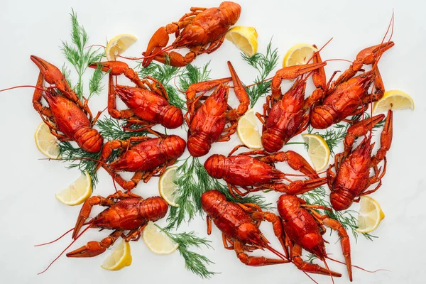 Top View Red Lobsters Lemon Slices Green Herbs White Background — Stock Photo, Image