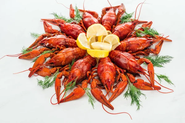 Red Lobsters Lemon Slices Green Herbs White Background — Stock Photo, Image