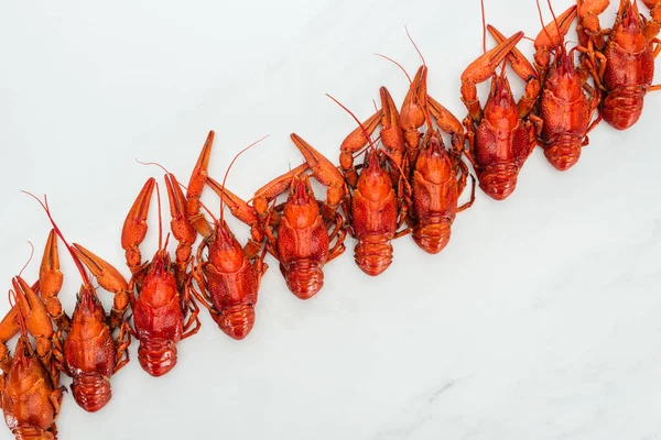 Top View Red Lobsters White Background — Stock Photo, Image