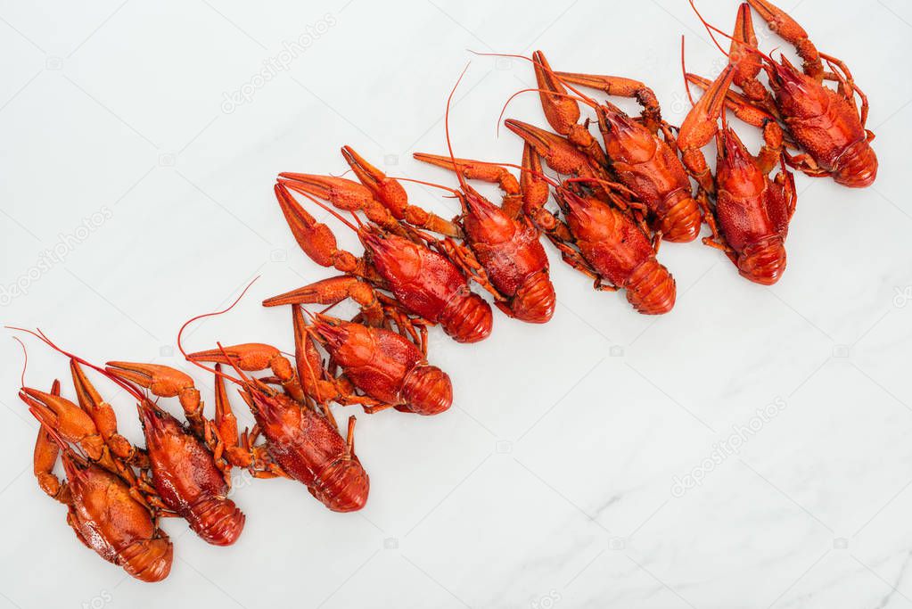 top view of red lobsters on white background