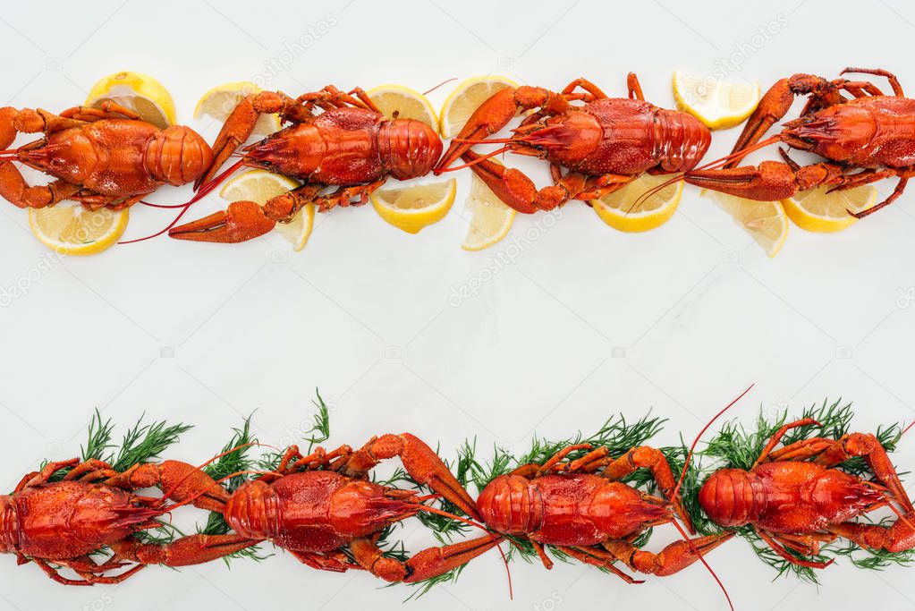 top view of red lobsters on lemon slices and green herbs on white background