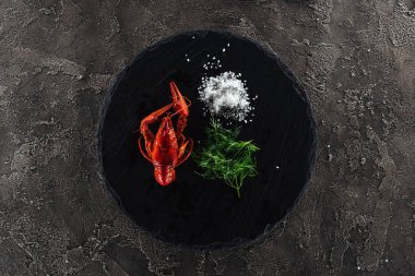kırmızı ıstakoz, beyaz tuz ve gri dokulu yüzey üzerinde yeşil otlar ile siyah plaka üst görünümü