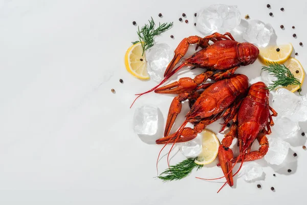 Top View Red Lobsters Peppers Lemon Slices Green Herbs Ice — Stock Photo, Image