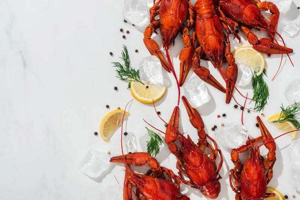 Draufsicht Auf Rote Hummer Paprika Zitronenscheiben Und Grüne Kräuter Auf — Stockfoto