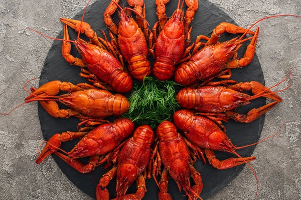 Top View Black Plate Red Lobsters Green Herbs Grey Textured — Stock Photo, Image